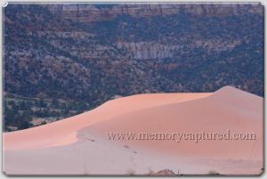 Coral pink dunes (6)-c39.jpg